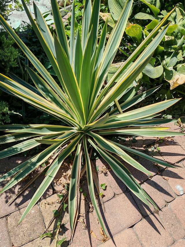 Гостиница Марина Витязево-247