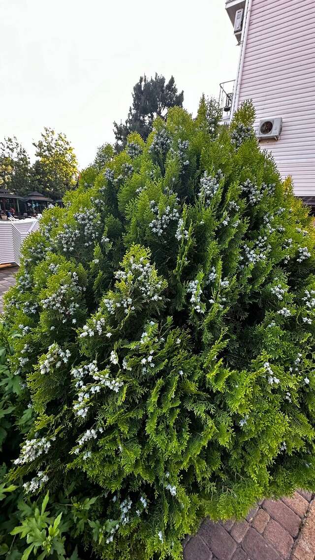 Гостиница Марина Витязево-147