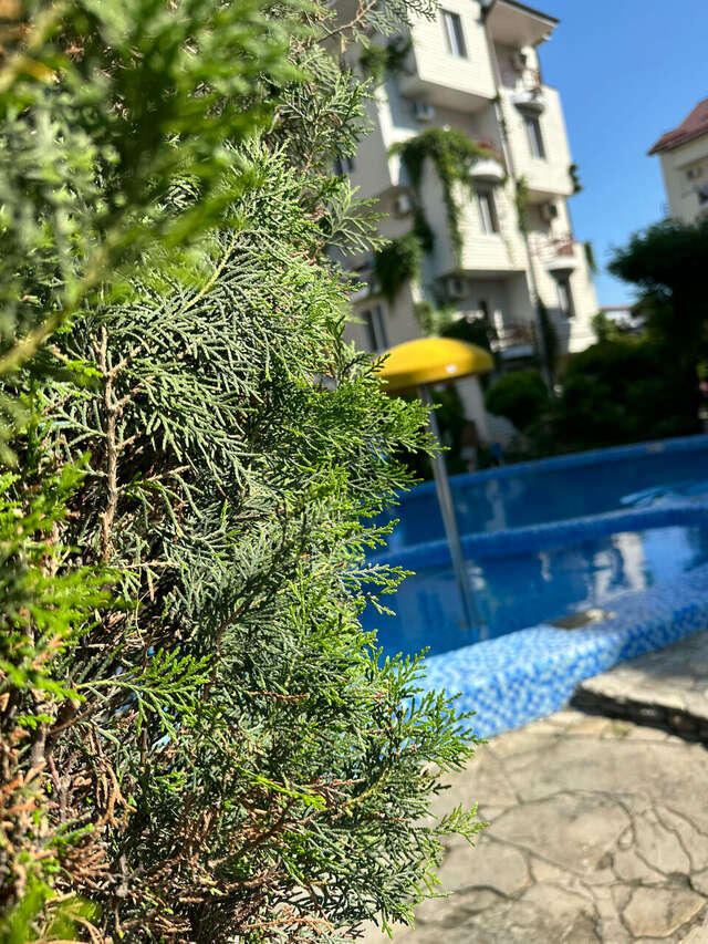 Гостиница Марина Витязево-142