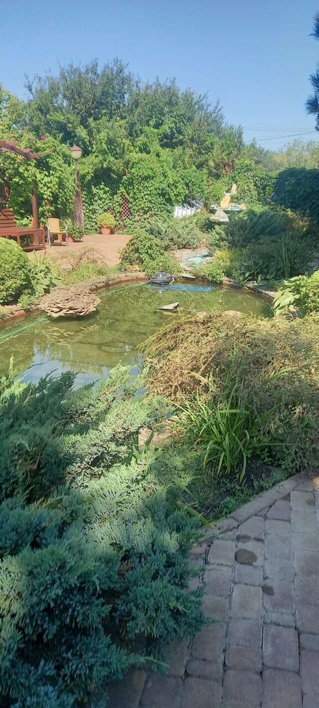 Гостиница Марина Витязево-175