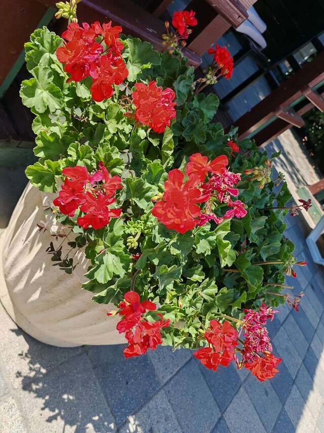 Гостиница Марина Витязево-249