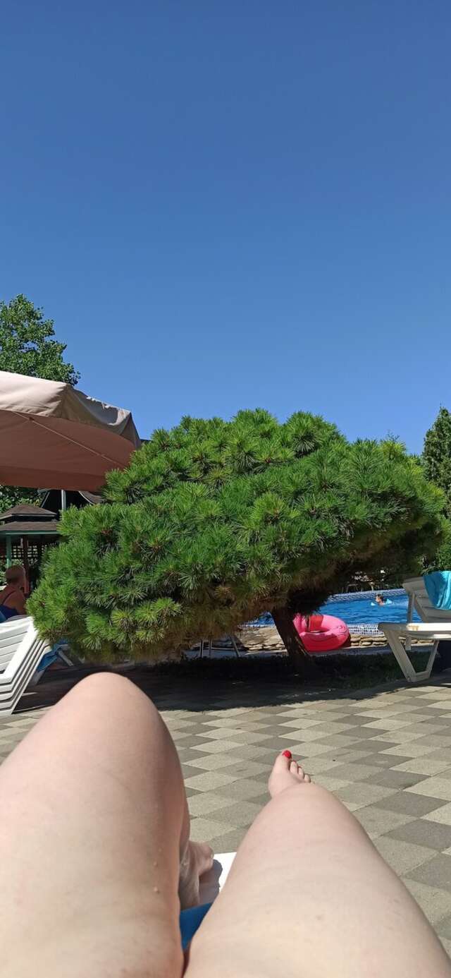 Гостиница Марина Витязево-177