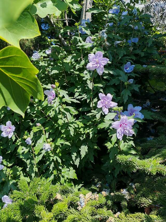 Гостиница Марина Витязево-245