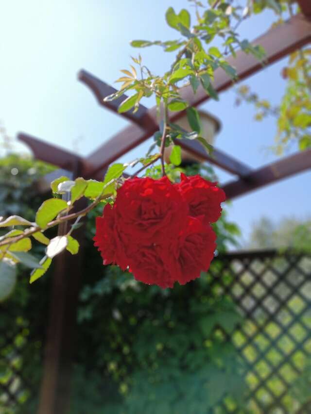 Гостиница Марина Витязево-152